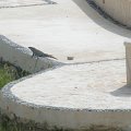DSCF0221 (2)